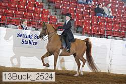 13buck_2524 proof