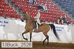 13buck_2526 proof