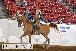 13buck_2527 proof