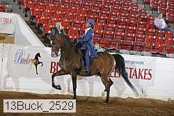 13buck_2529 proof