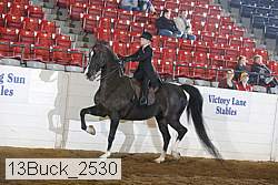 13buck_2530 proof