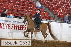 13buck_2532 proof