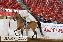 13buck_2535 proof