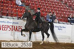 13buck_2539 proof