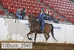 13buck_2540 proof
