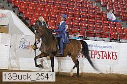 13buck_2541 proof