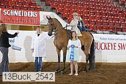 13buck_2542 proof