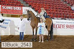13buck_2543 proof