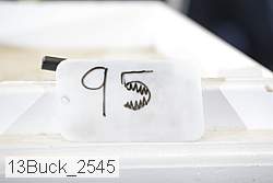 13buck_2545 proof