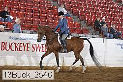 13buck_2546 proof
