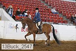 13buck_2547 proof
