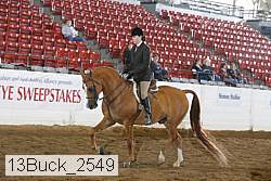 13buck_2549 proof