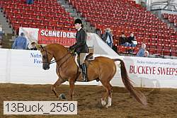13buck_2550 proof