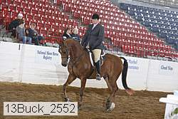 13buck_2552 proof