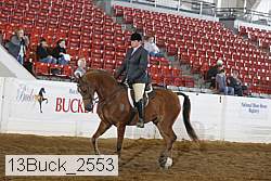 13buck_2553 proof