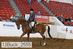 13buck_2555 proof