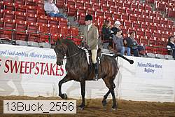 13buck_2556 proof
