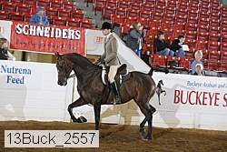 13buck_2557 proof