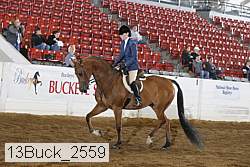 13buck_2559 proof