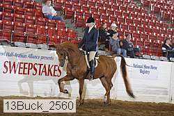 13buck_2560 proof