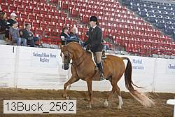 13buck_2562 proof