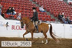 13buck_2563 proof