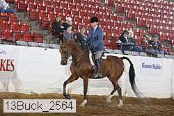 13buck_2564 proof