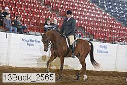13buck_2565 proof