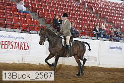 13buck_2567 proof