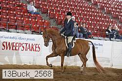 13buck_2568 proof