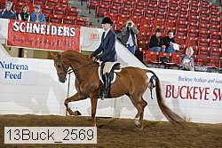 13buck_2569 proof