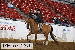 13buck_2570 proof