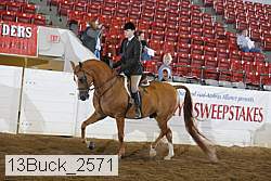 13buck_2571 proof