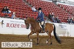 13buck_2572 proof
