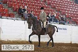 13buck_2573 proof