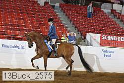 13buck_2575 proof