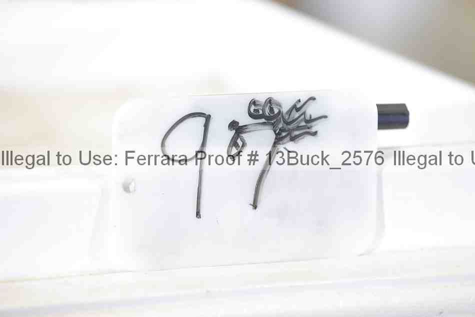 Proof 13buck_2576