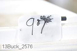 13buck_2576 proof