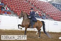 13buck_2577 proof