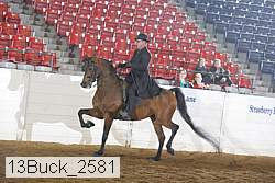 13buck_2581 proof