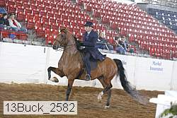 13buck_2582 proof