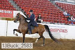 13buck_2583 proof