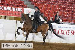 13buck_2585 proof