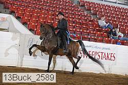 13buck_2589 proof