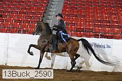 13buck_2590 proof