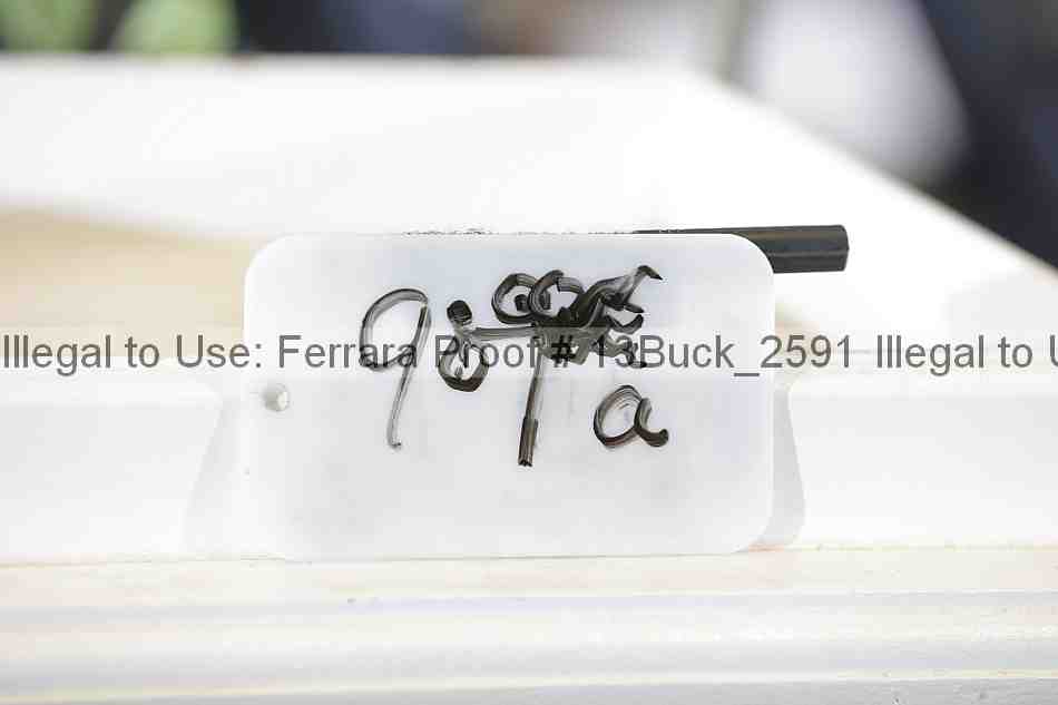 Proof 13buck_2591