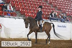 13buck_2592 proof