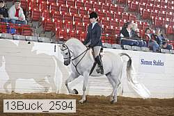 13buck_2594 proof