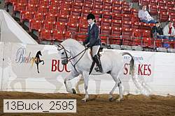 13buck_2595 proof