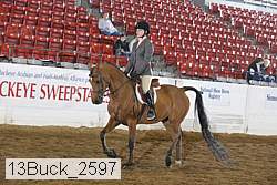 13buck_2597 proof